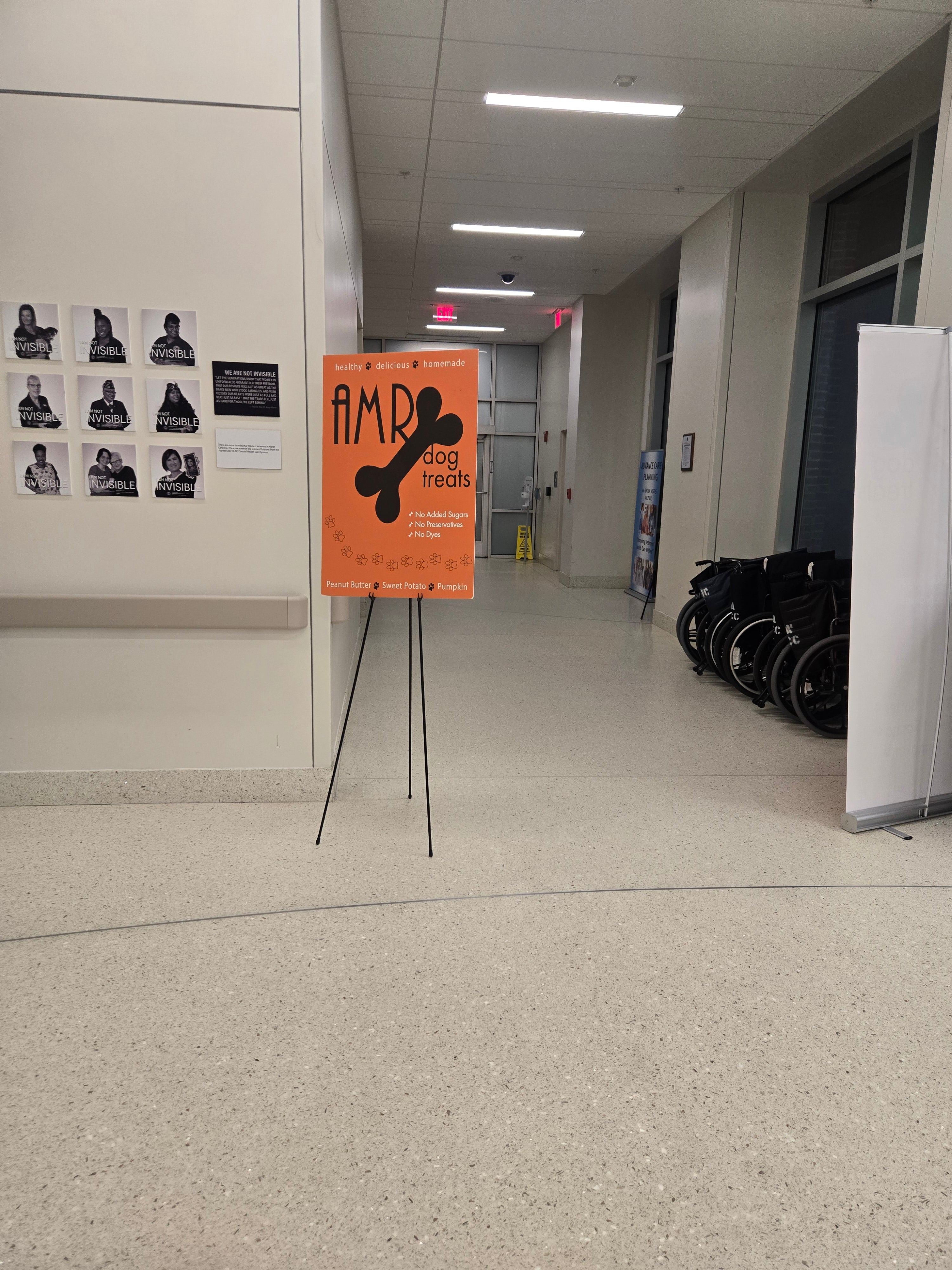 AMR Pumpkin Dog Treats - No Preservatives, No Dyes and No Added Sugars